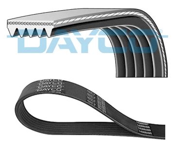 DAYCO 5PK890