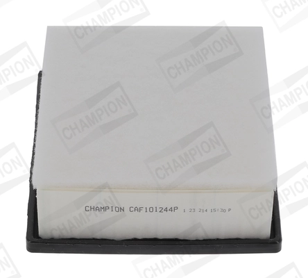 CHAMPION CAF101244P