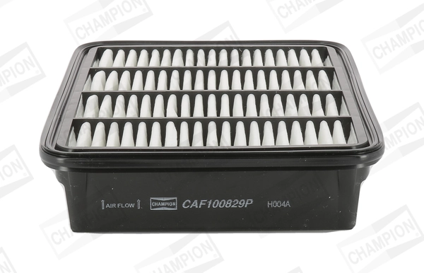 CHAMPION CAF100829P