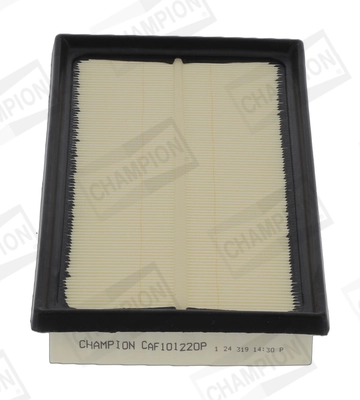 CHAMPION CAF101220P
