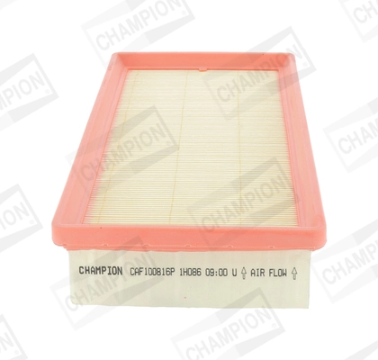 CHAMPION CAF100816P