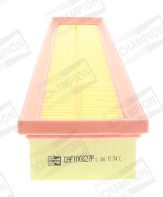 CHAMPION CAF100827P