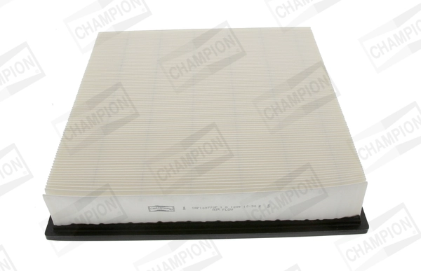 CHAMPION CAF100770P