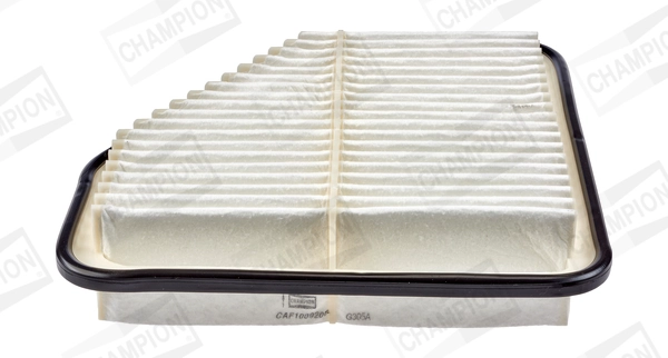 CHAMPION CAF100920P