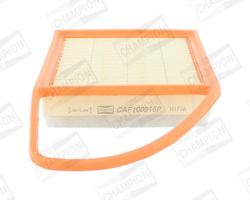 CHAMPION CAF100916P