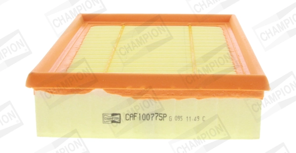 CHAMPION CAF100775P