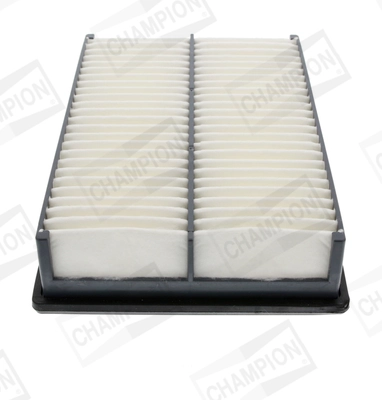 CHAMPION CAF100831P