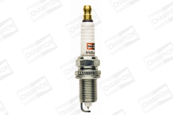 CHAMPION CCH9806