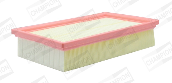 CHAMPION CAF101262P
