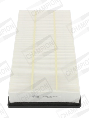 CHAMPION CAF100808P