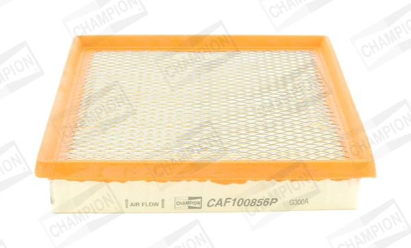 CHAMPION CAF100856P