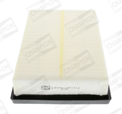 CHAMPION CAF100714P