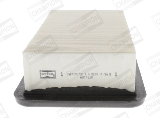 CHAMPION CAF100873P