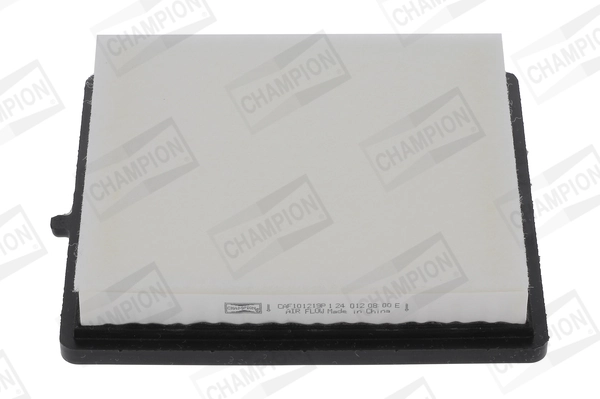 CHAMPION CAF101219P