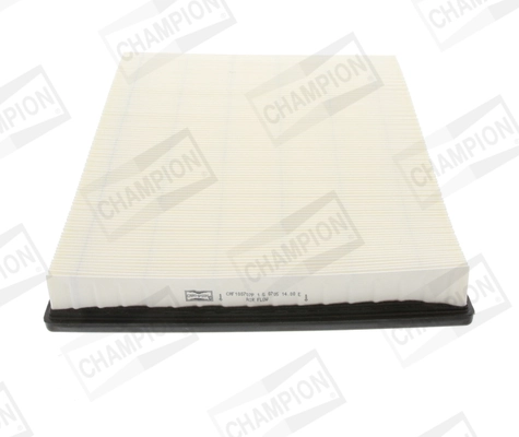 CHAMPION CAF100707P