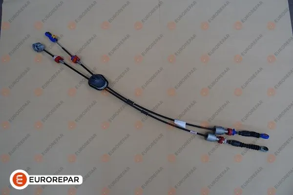 B CAR 001NI008