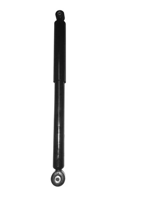 RAISO RS106319