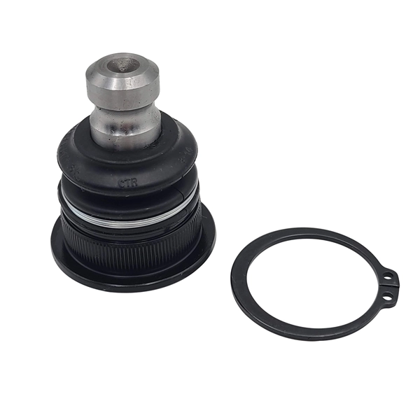 RAISO RL820491R