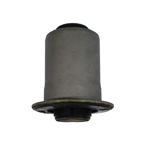 CTR GV0555