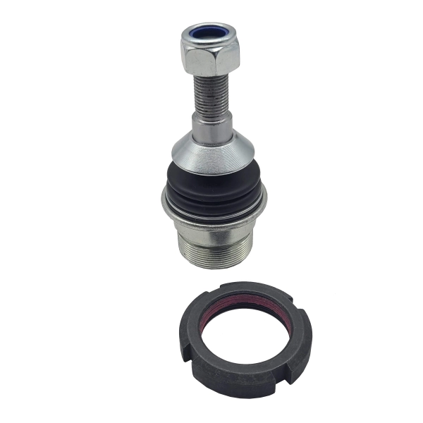RAISO RL164935M