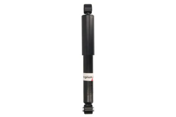 MAGNUM TECHNOLOGY AGF095MT