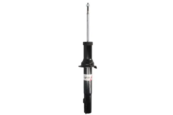 RAISO RS317497