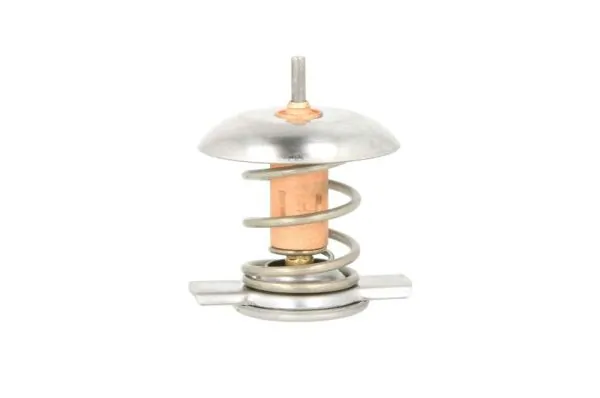 Thermotec D2X006TT