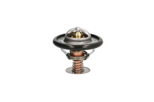 Thermotec D2C002TT