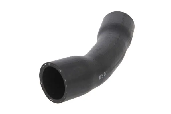 Thermotec DCG281TT
