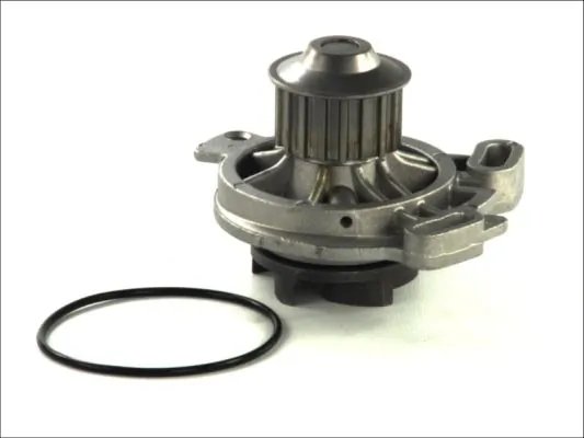 Thermotec D1W016TT