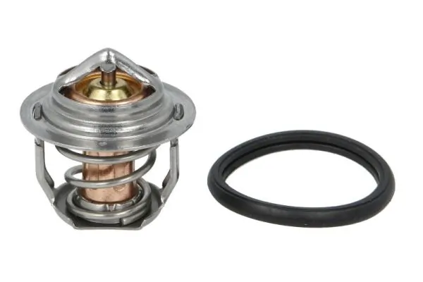 Thermotec D2AG024TT