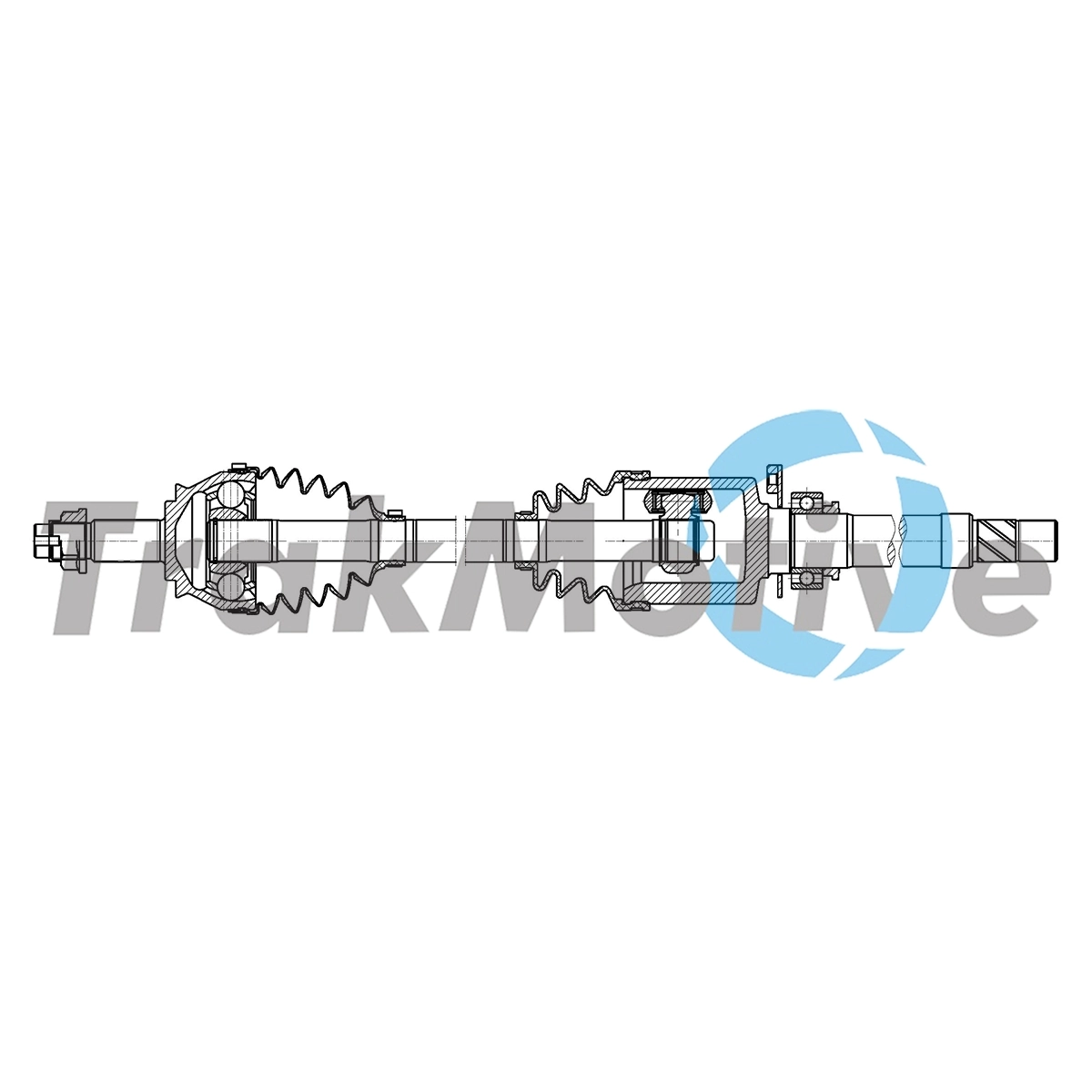 Magneti Marelli 302004190164