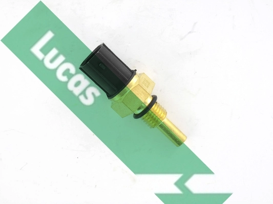 Lucas SNB1006