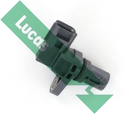 Lucas SEB1618