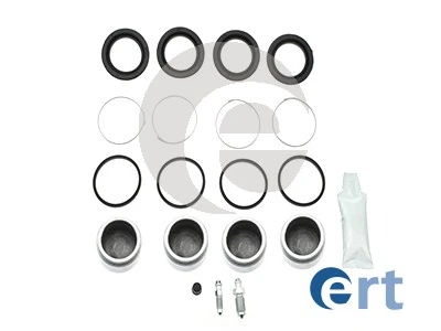 ERT 401381