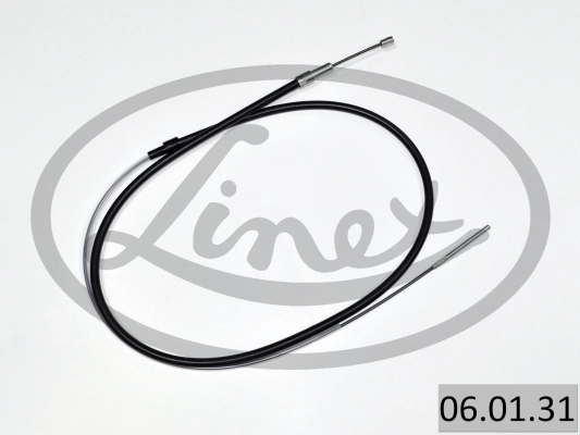 LINEX 060131