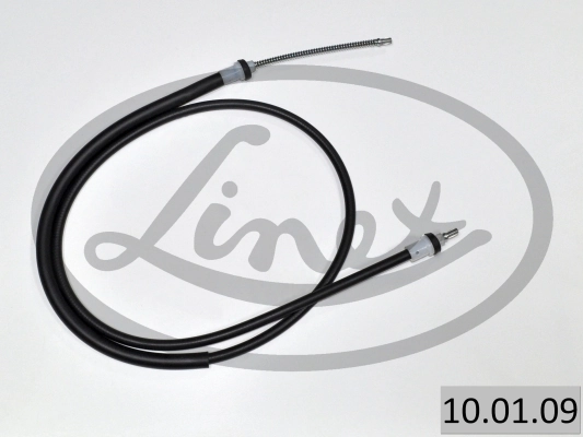 LINEX 100109
