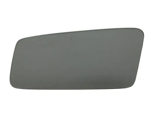 BLIC 6102010006P