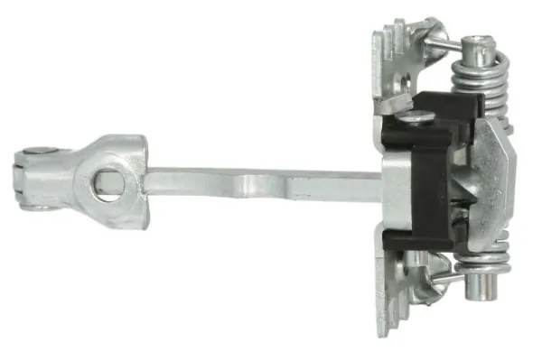 BLIC 6004000086P
