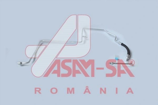 ASAM 32689