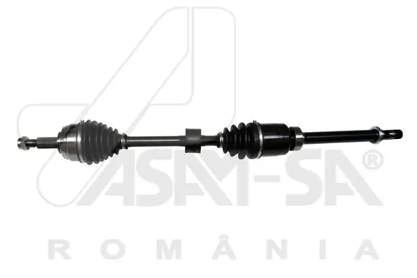 ASAM 32021