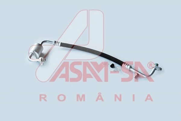 ASAM 32686