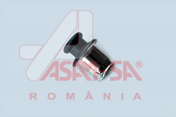 ASAM 32670