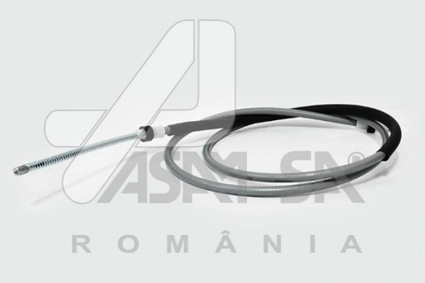 ASAM 30918