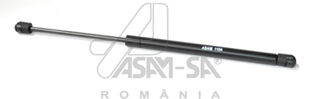 ASAM 30230