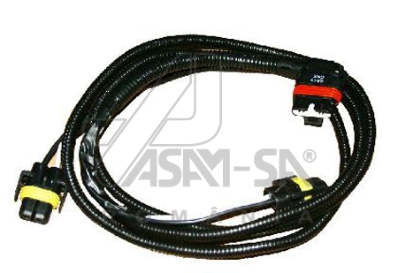 ASAM 17028