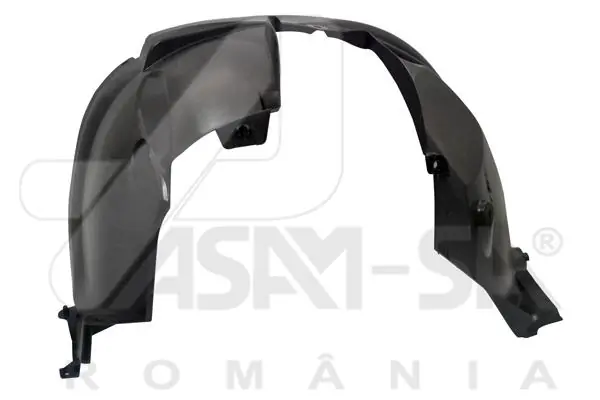 ASAM 80119