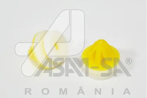 ASAM 30792
