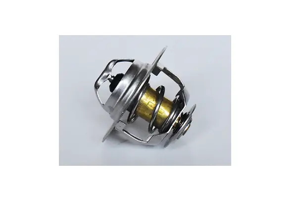 ASAM 73350