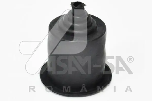 ASAM 30175